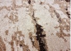 Тъкан килим MAGNOLIA 165 beige